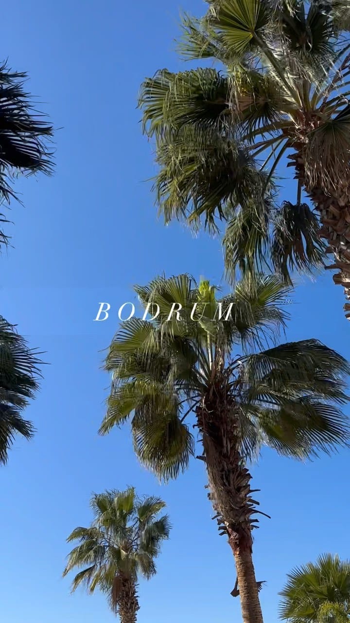 Post 8 by Zeynep Nili on Instagram (video)