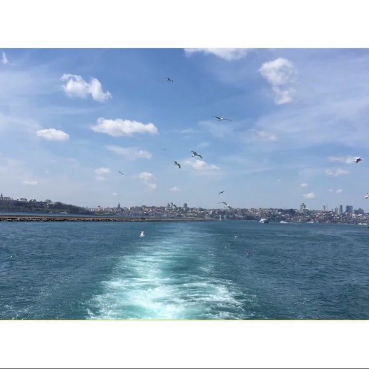 Post 2 by 🦋B on Instagram (video)