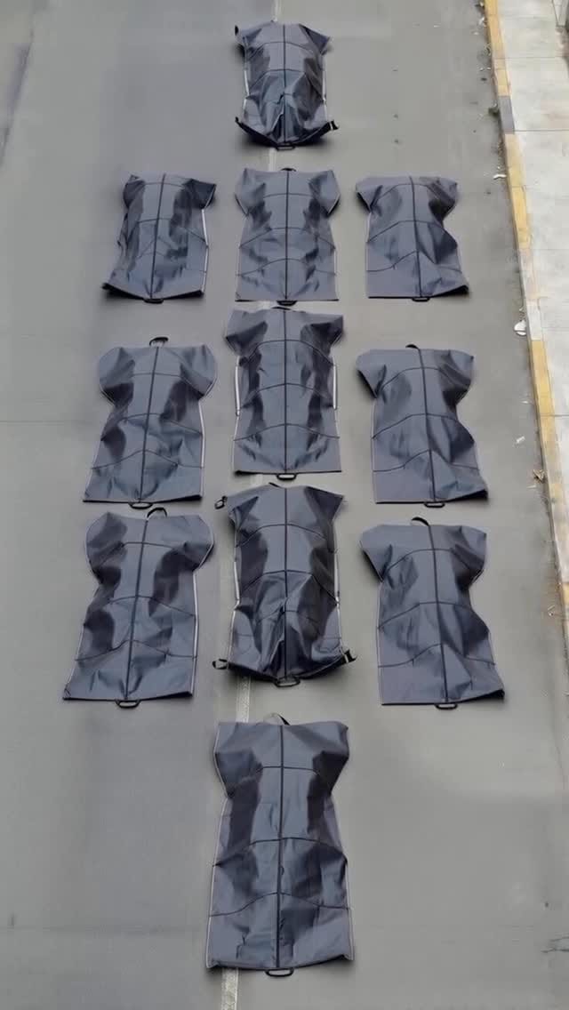 Post 1 by Farnaz Salmani on Instagram (video)
