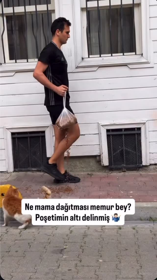 Post 8 by @sebnemcapa on Instagram (video)