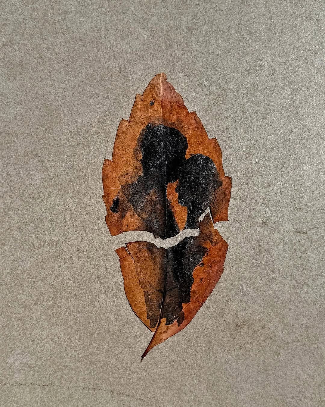 Post 8 by Mehmet Tahir Yıldız on Instagram (carousel)