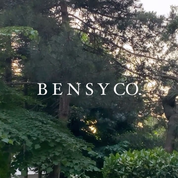 Post 10 by B E N S Y CO. on Instagram (video)