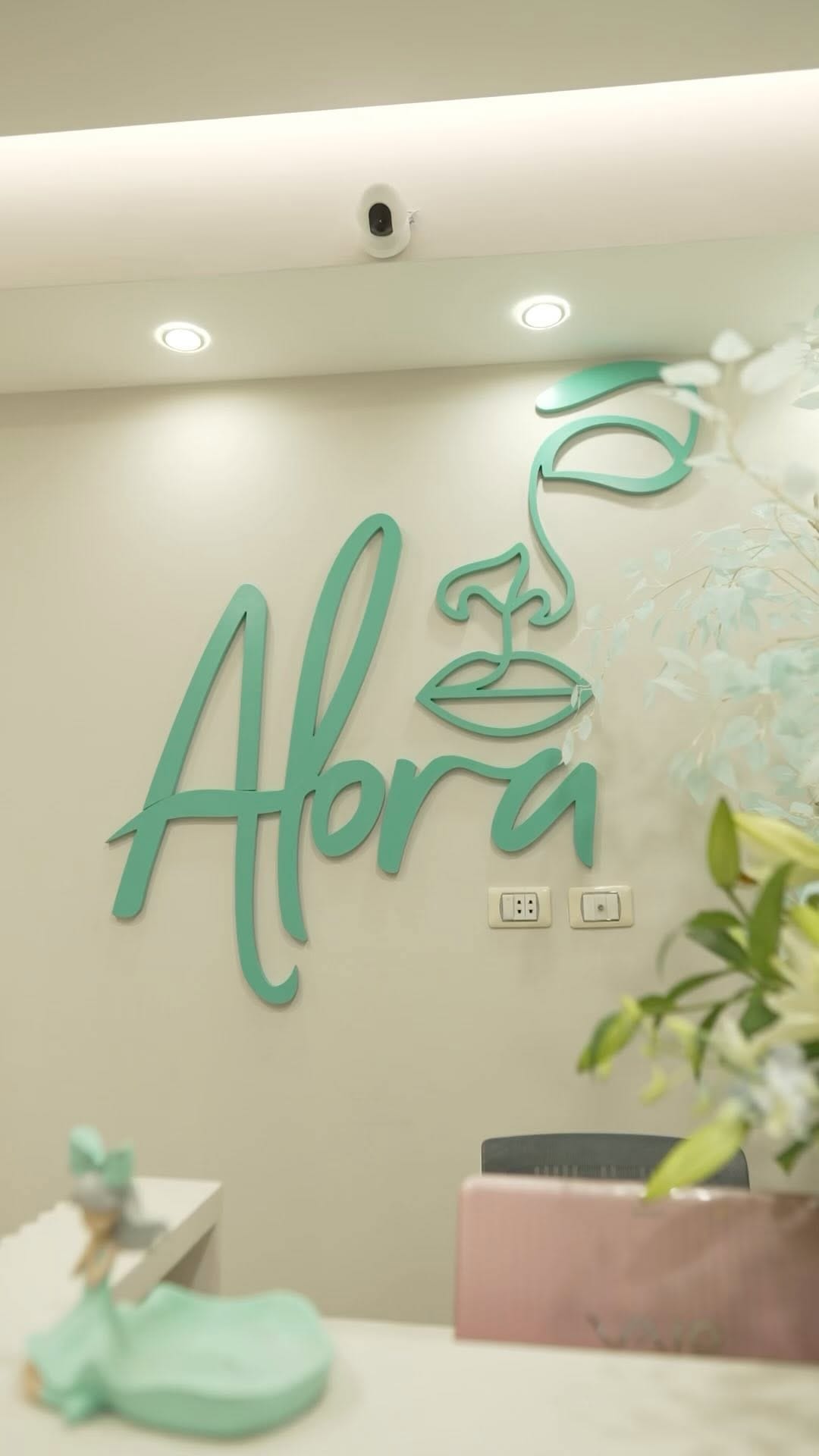 Post 8 by Dina Said | Microblading, Eyeliner and lip pigmentation artist on Instagram (video)