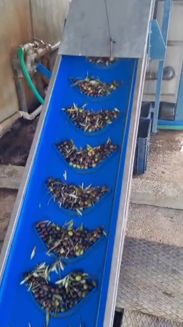 Post 2 by Zeytin Masalı on Instagram (video)