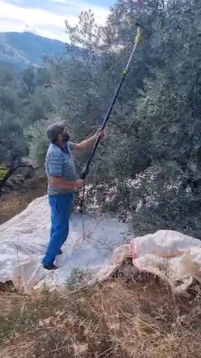 Post 3 by Zeytin Masalı on Instagram (video)