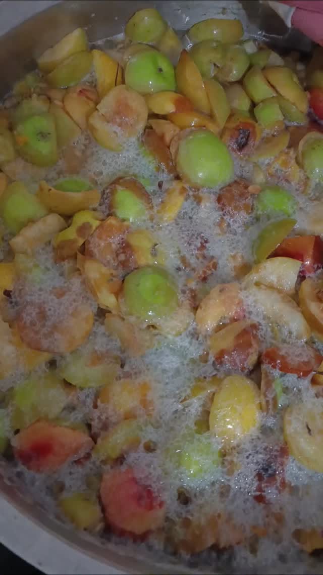 Post 10 by ÜNZÜLE ÖZDEMİR @dogalfermente on Instagram (video)