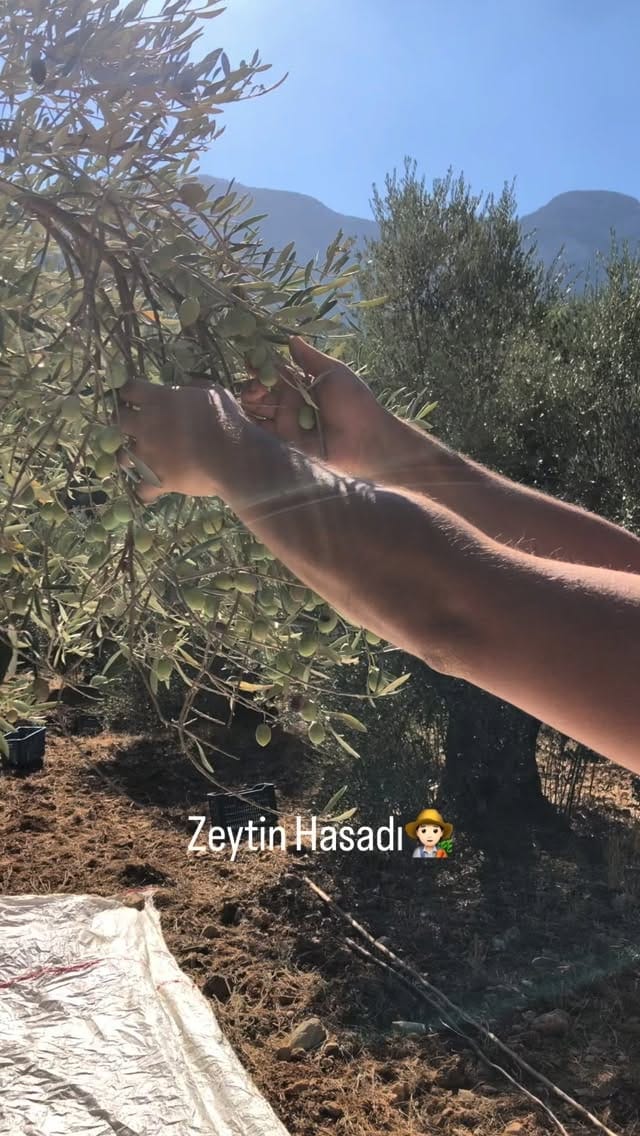Post 9 by Yarıkdağ Arıcılık | Yerel Datça Lezzetleri on Instagram (video)
