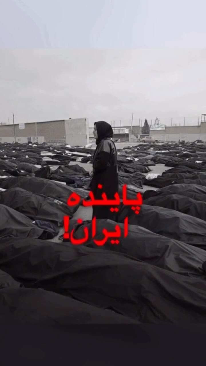 Post 1 by Farzaneh Naderali on Instagram (video)