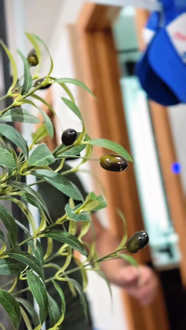 Post 1 by Mirik Deniz on Instagram (video)