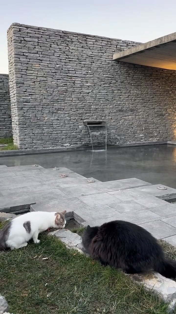 Post 4 by Maria Bartin on Instagram (video)