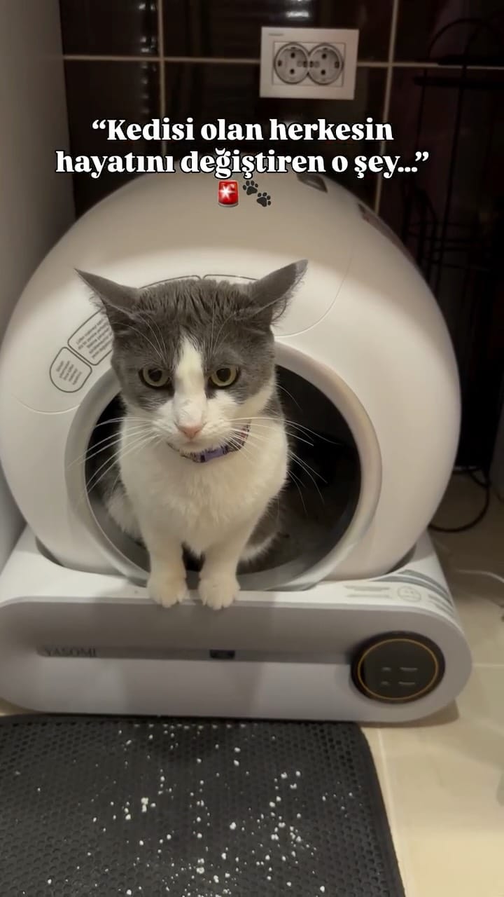 Post 1 by Maria Bartin on Instagram (video)