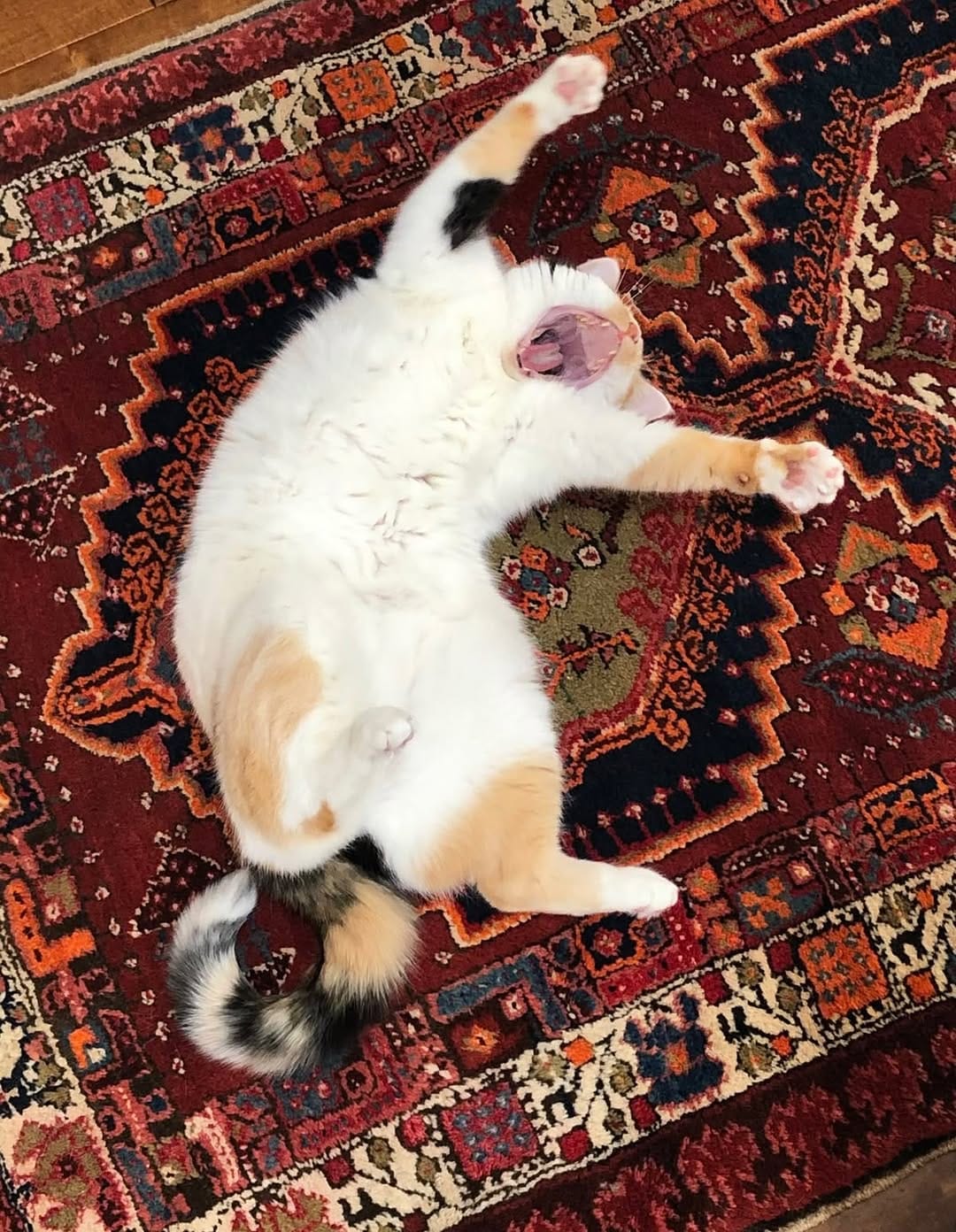 Post 8 by Nakkas Rug on Instagram (image)