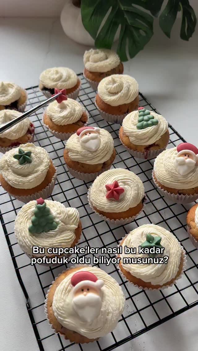 Post 8 by Gökçe Zerin on Instagram (video)