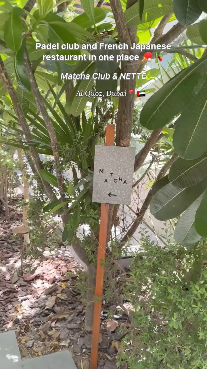 Post 8 by Noha Ali on Instagram (video)