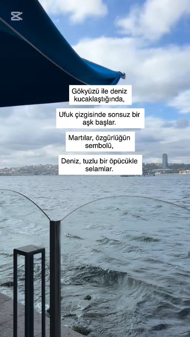 Post 8 by Esra Takım on Instagram (video)