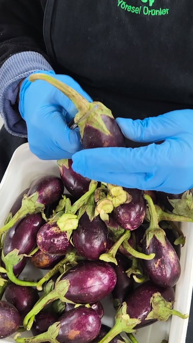 Post 4 by Hatay Yöresel Ürünler on Instagram (video)