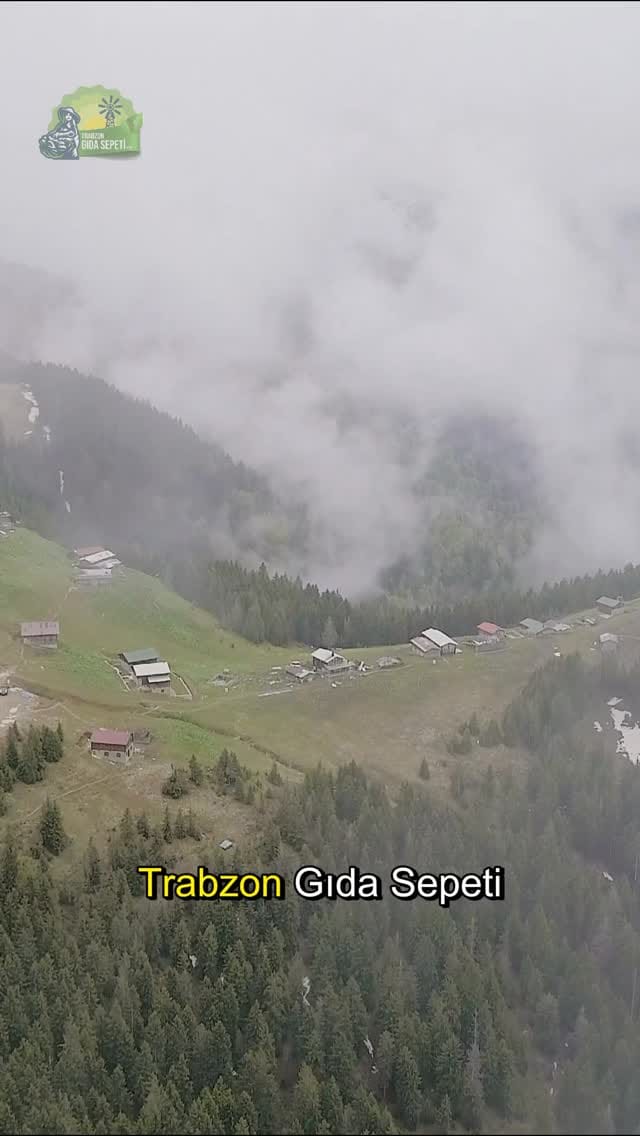 Post 1 by Trabzon Tereyağı on Instagram (video)