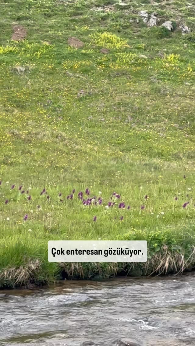 Post 4 by Trabzon Tereyağı on Instagram (video)