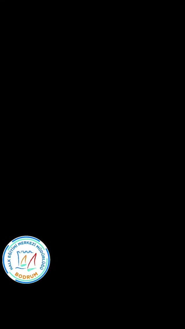 Post 2 by Begüm Şahpaz on Instagram (video)