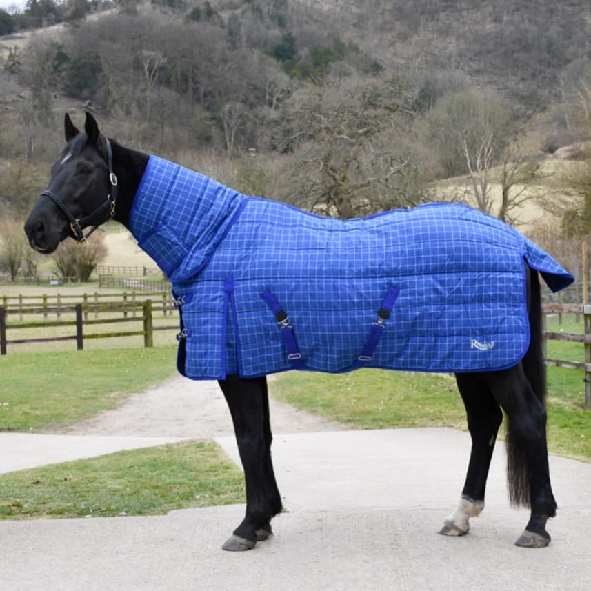 Post 1 by Rhinegold Equestrian on Instagram (image)