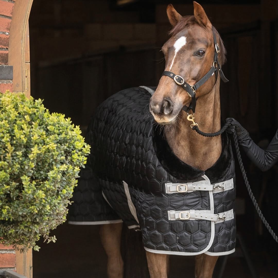 Post 2 by Rhinegold Equestrian on Instagram (image)