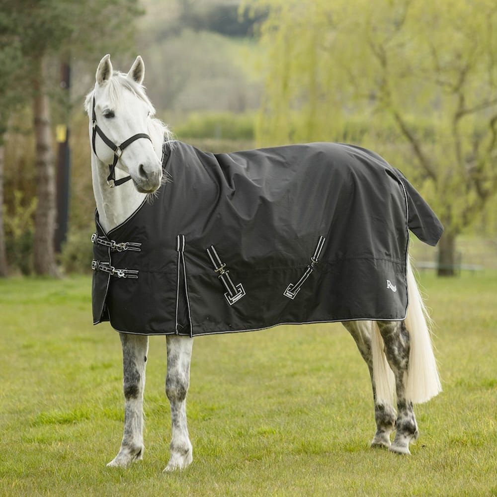 Post 7 by Rhinegold Equestrian on Instagram (image)