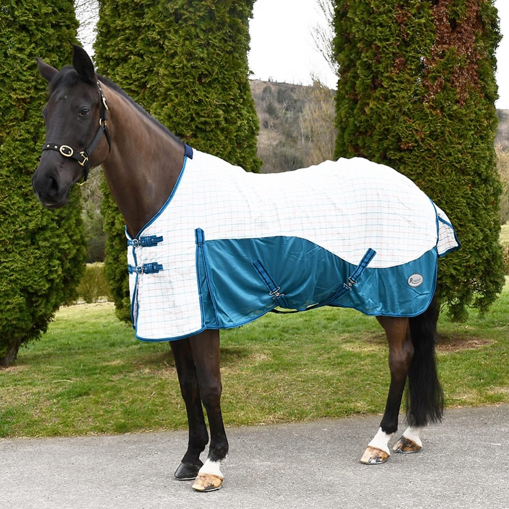 Post 9 by Rhinegold Equestrian on Instagram (carousel)