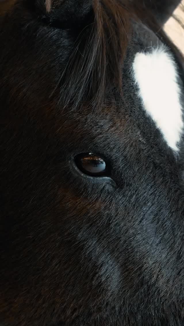 Post 9 by Iyaş Park Alışveriş Merkezi on Instagram (video)