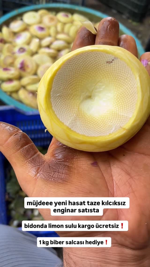 Post 5 by 𝕾𝖊𝖇𝖆𝖍𝖆𝖙 𝖙𝖆𝖓𝖎𝖘𝖒𝖆𝖓 🍒 on Instagram (video)