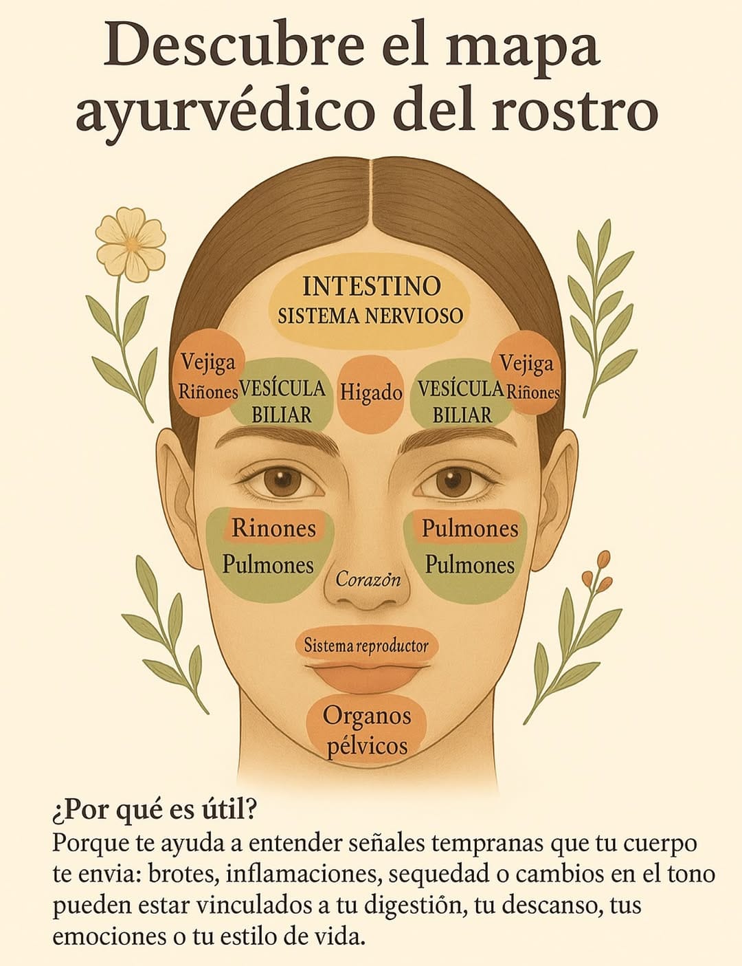 Post 3 by Halalaya®️ Holistic Cosmetic & supplements on Instagram (carousel)