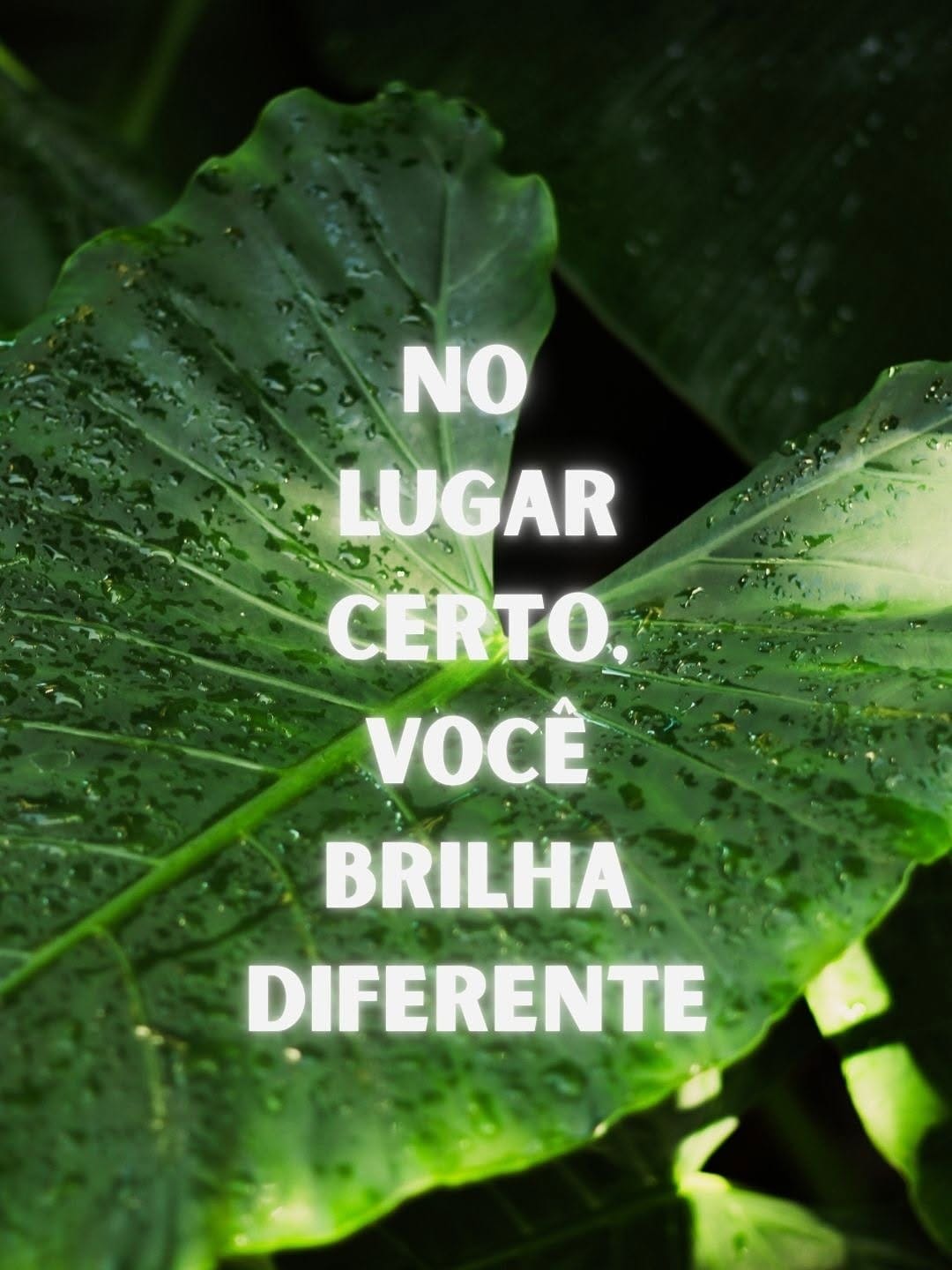 Post 6 by Matheus lmperial on Instagram (carousel)