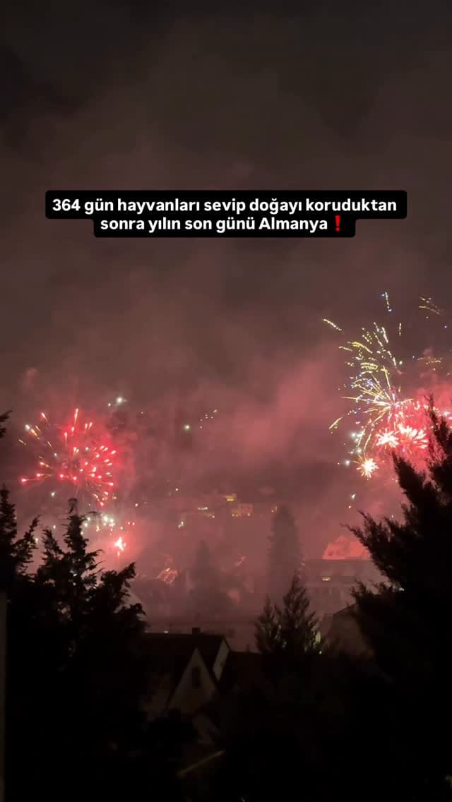 Post 2 by Sema☁️ on Instagram (video)