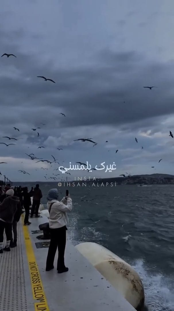 Post 4 by İhsan Alapsi | إحسان العبسي on Instagram (video)