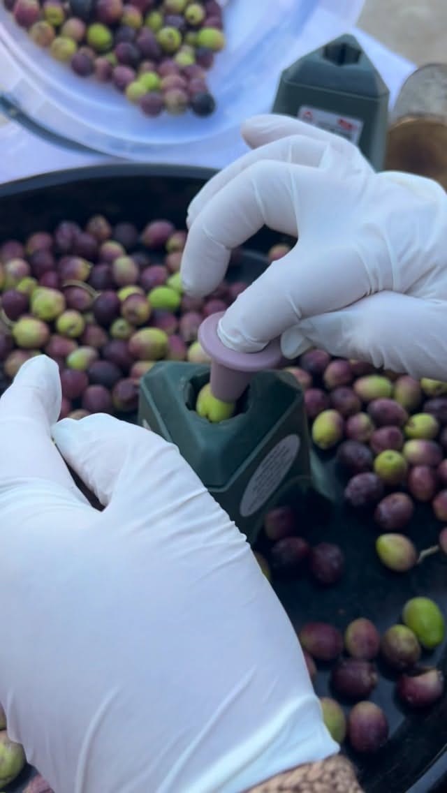 Post 7 by Hanımın Köyünden ® on Instagram (video)