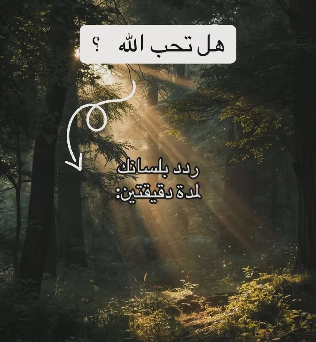 Post 2 by Haitham M. Darwish on Instagram (carousel)