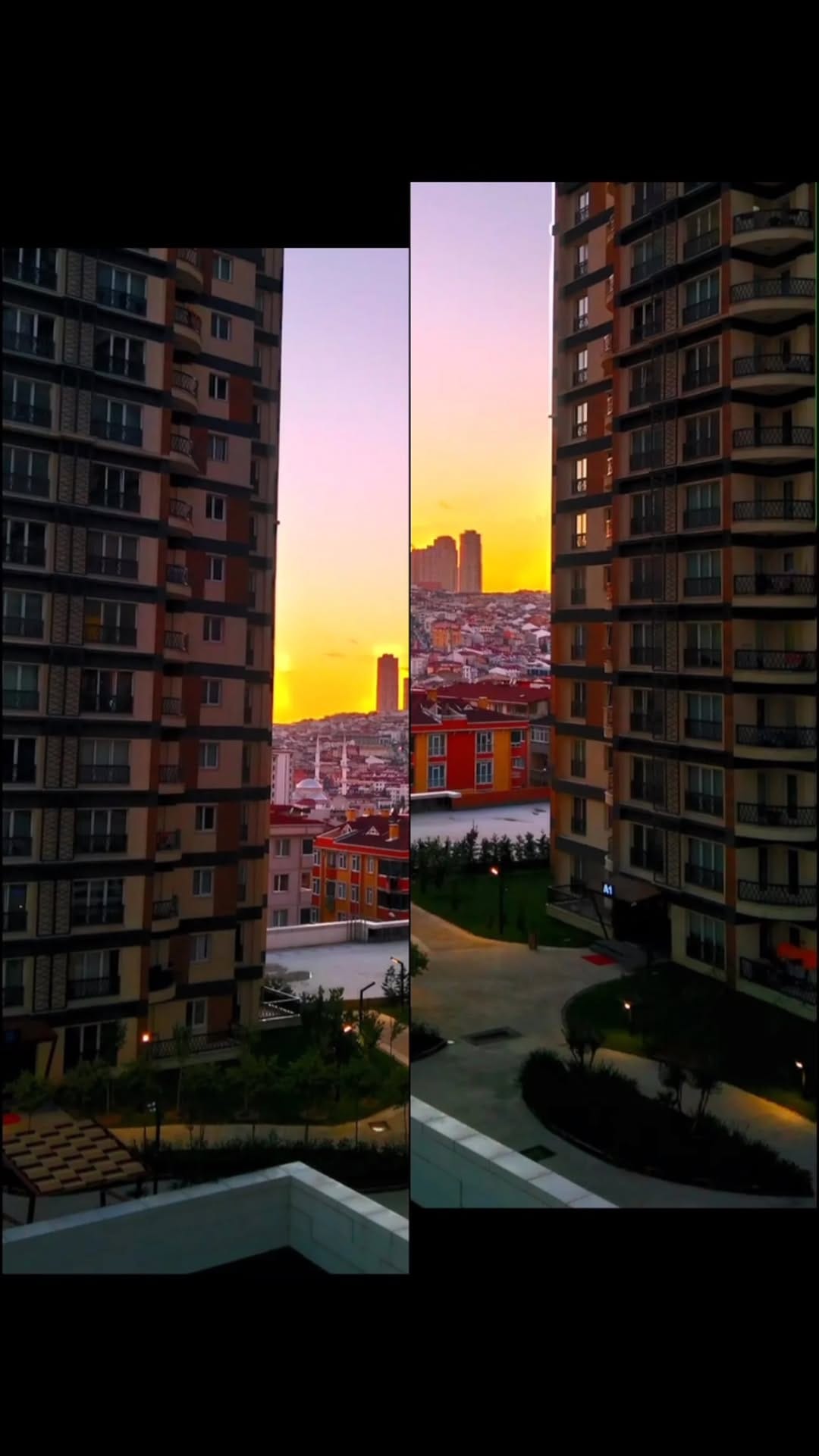 Post 7 by Haitham M. Darwish on Instagram (video)