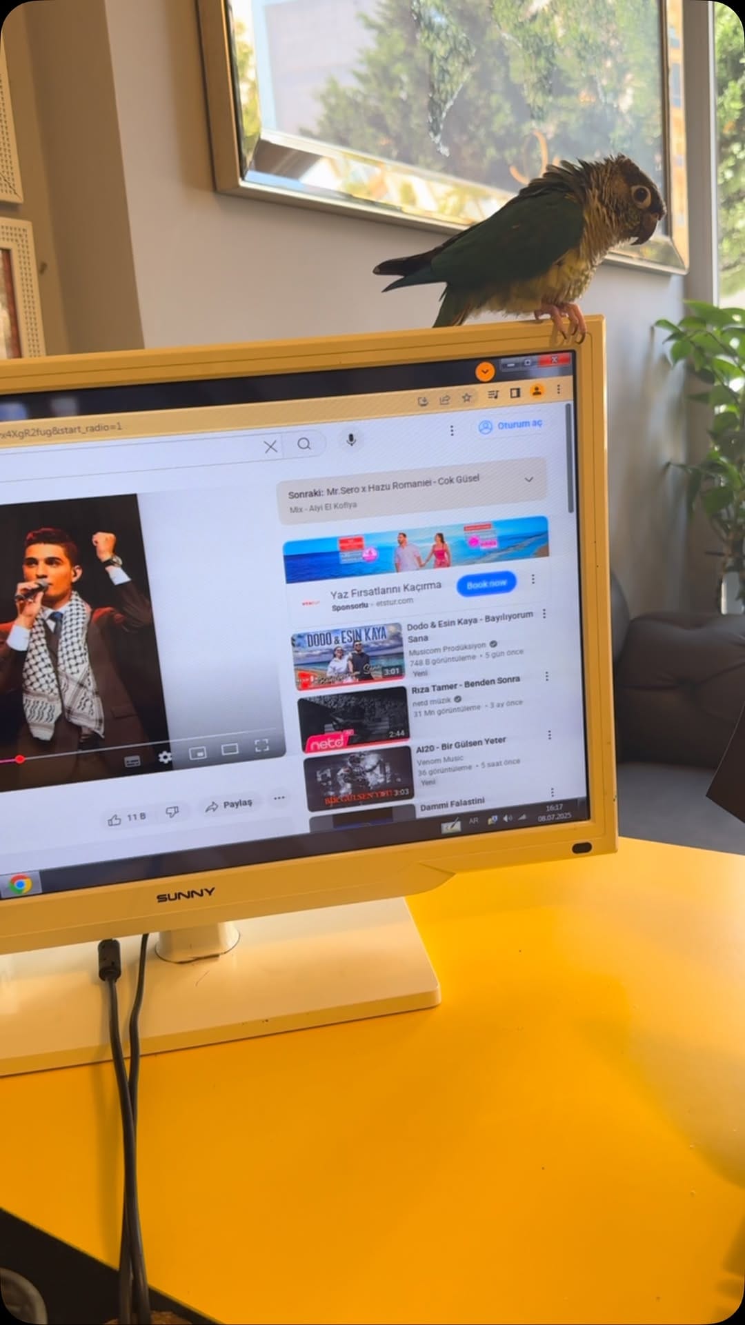 Post 4 by Haitham M. Darwish on Instagram (video)