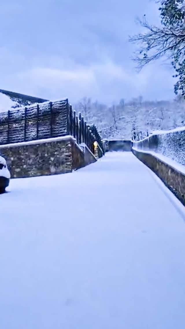 Post 9 by Doga bungalow on Instagram (video)