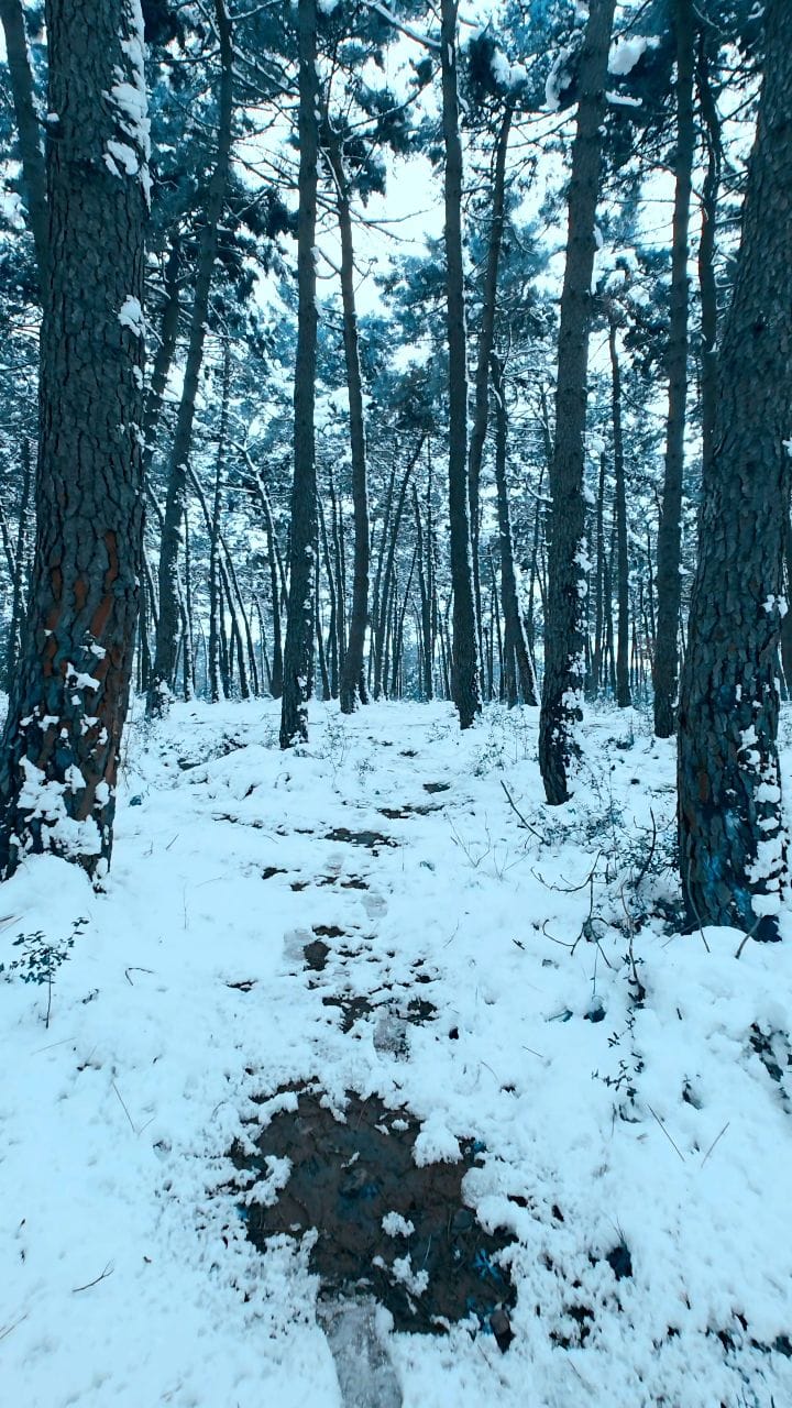 Post 9 by ꜱᴇʟᴄᴜᴋ ʙᴇʀᴋ on Instagram (video)