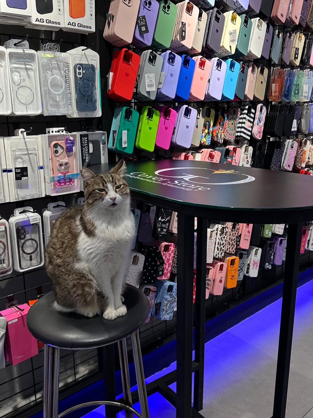 Post 7 by GG Cover Store on Instagram (image)