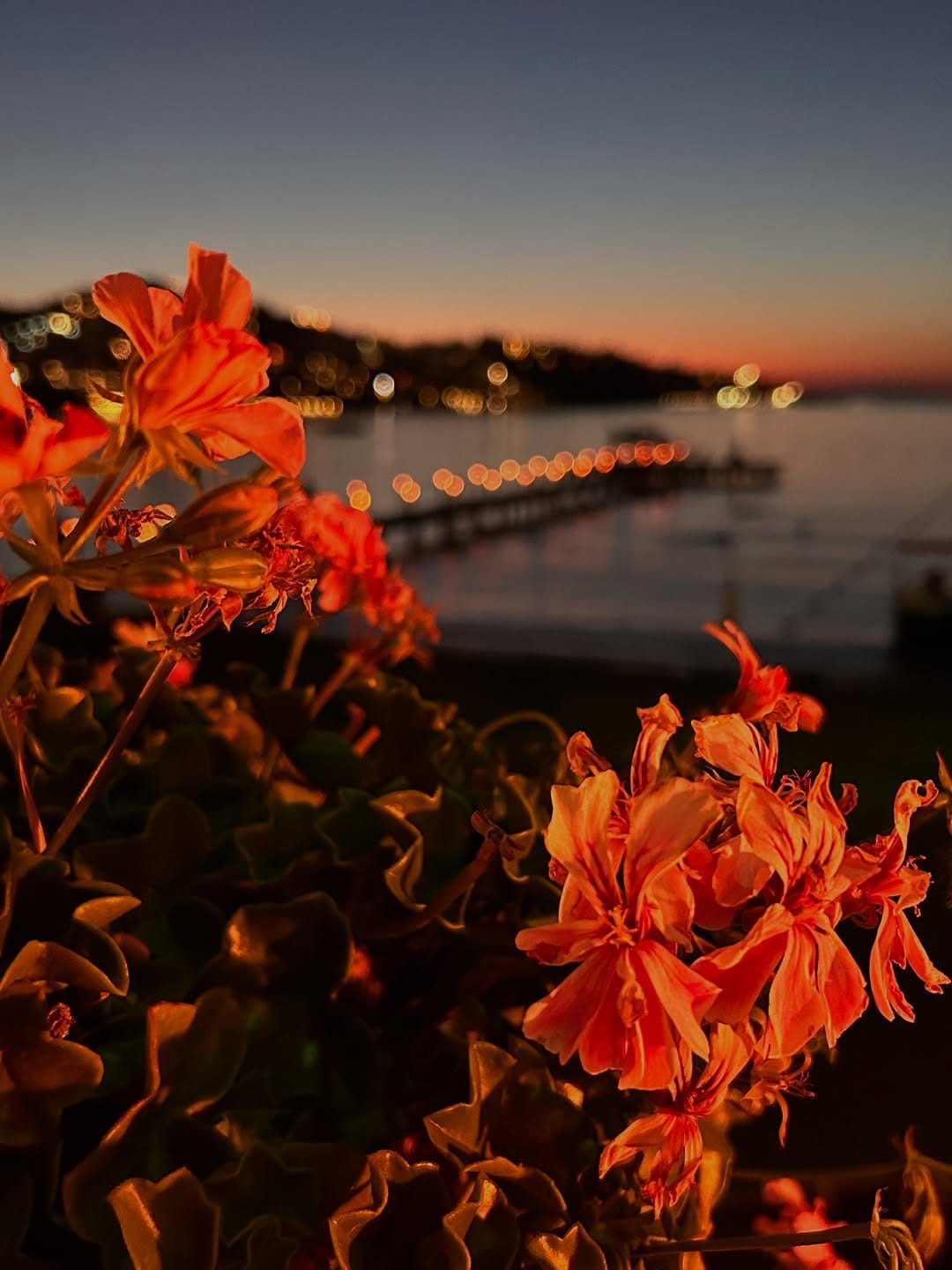 Post 5 by Zeynep Altunay Taktak on Instagram (carousel)