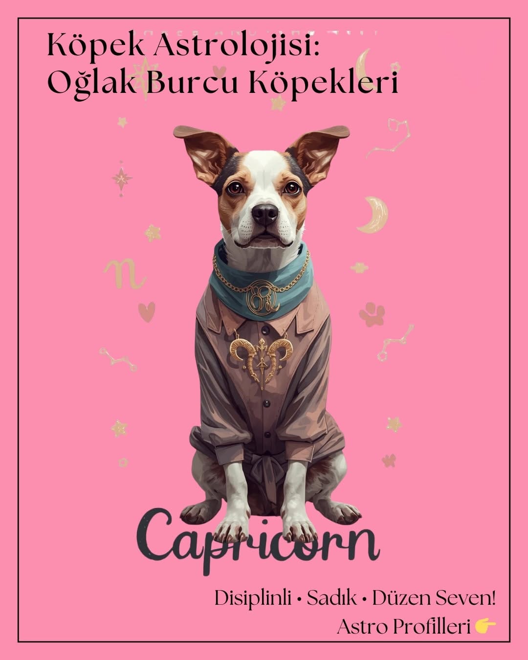 Post 1 by Dog And The City on Instagram (carousel)