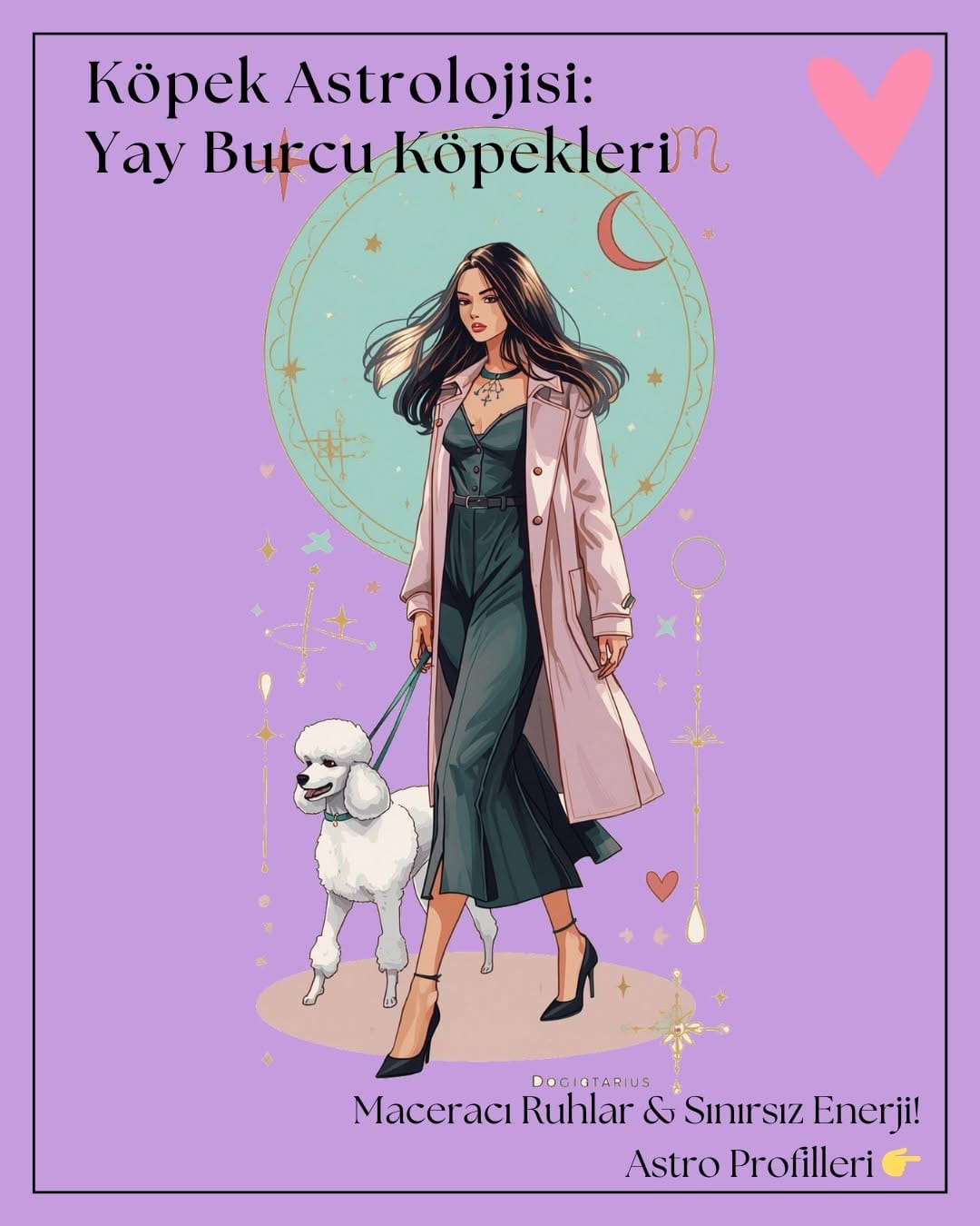 Post 3 by Dog And The City on Instagram (carousel)