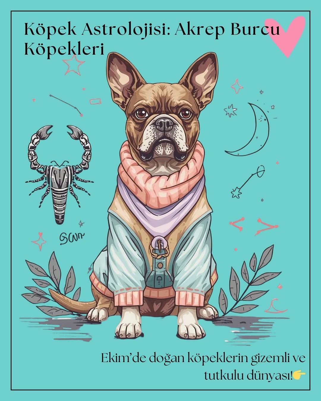 Post 4 by Dog And The City on Instagram (carousel)