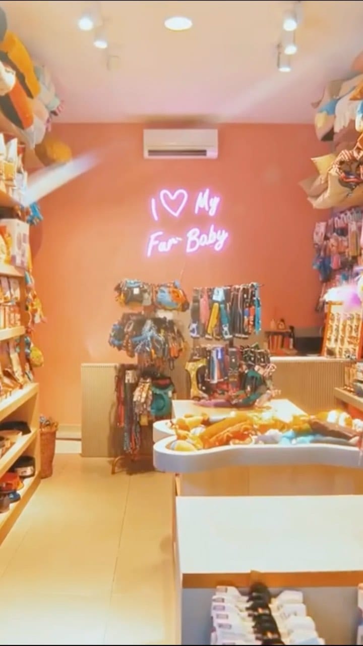 Post 9 by Dog And The City on Instagram (video)