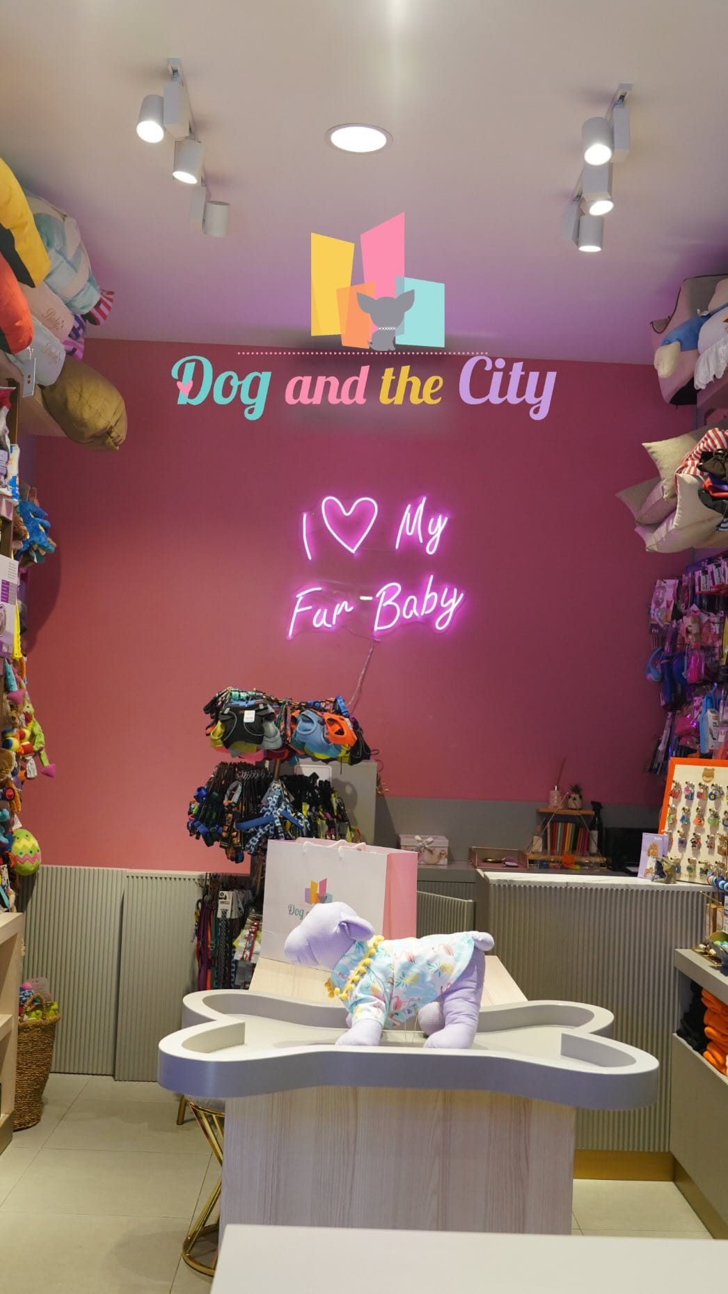 Post 8 by Dog And The City on Instagram (video)