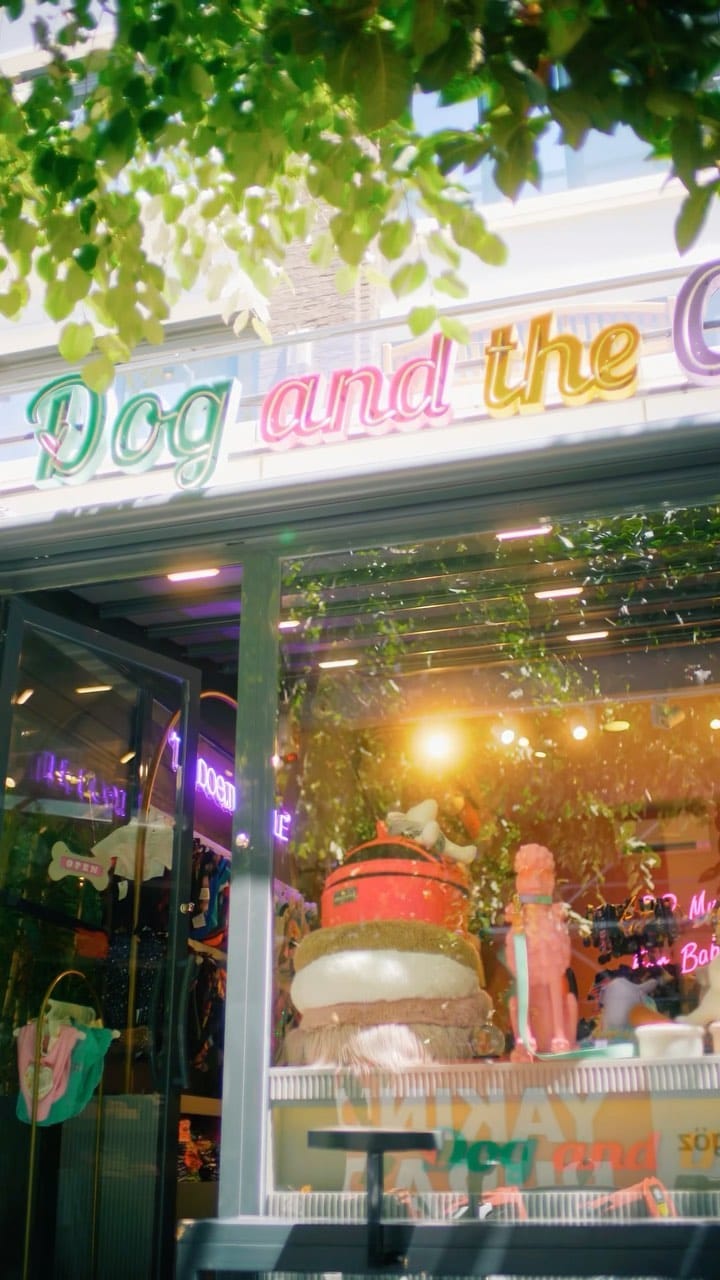 Post 10 by Dog And The City on Instagram (video)