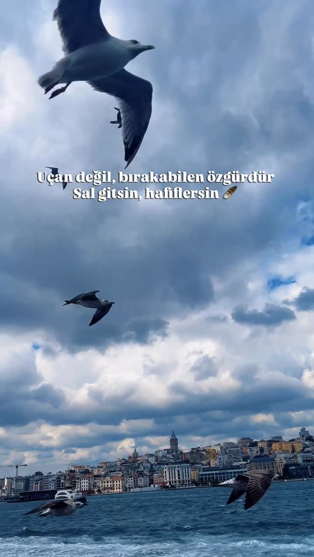 Post 8 by Berrakberroo on Instagram (video)
