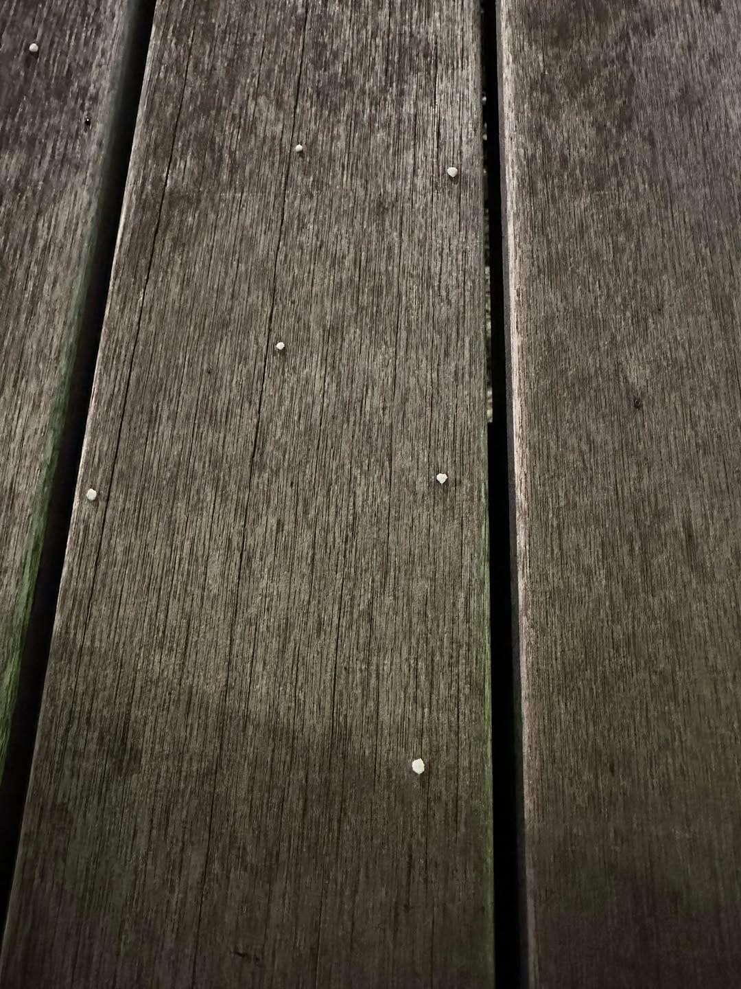 Post 4 by Les Leventhal on Instagram (image)