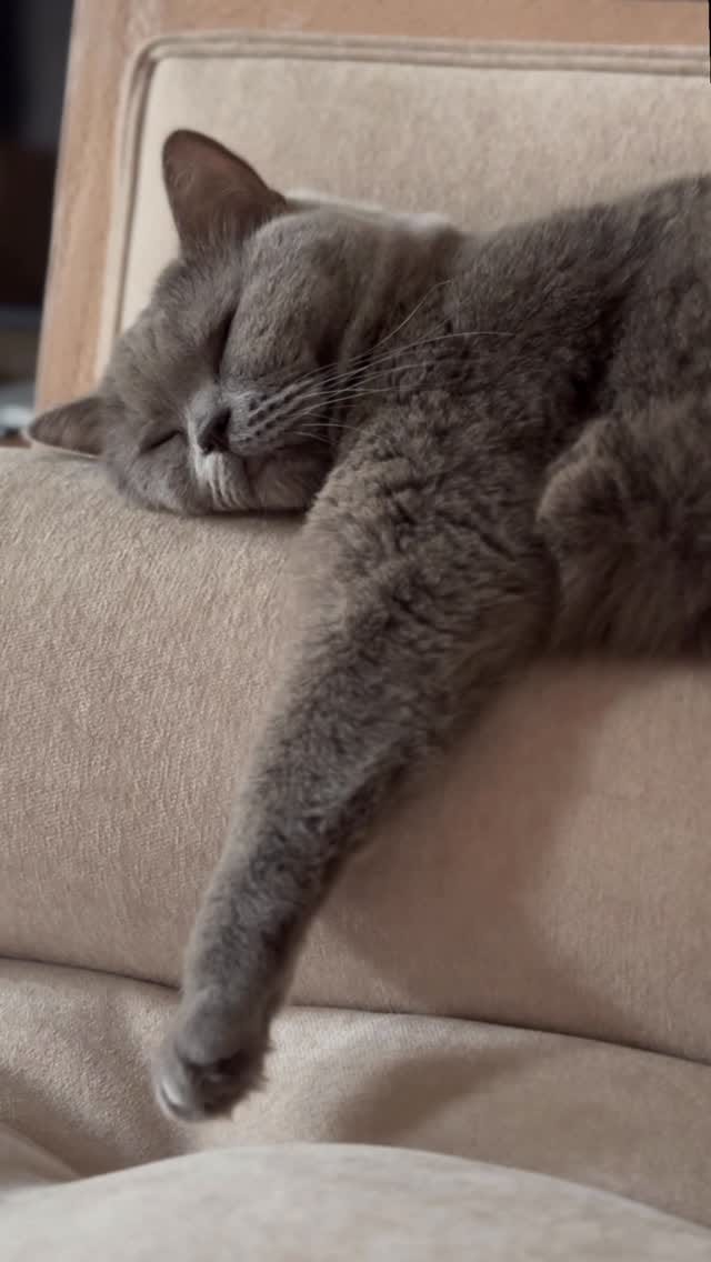 Post 4 by @about_minoo on Instagram (video)